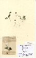  ( - NMW5080)  @11 [ ] Unspecified (default): All Rights Reserved  Unspecified Unspecified