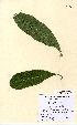  ( - NMW5180)  @11 [ ] Unspecified (default): All Rights Reserved  Unspecified Unspecified