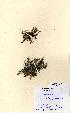  ( - NMW5246)  @11 [ ] Unspecified (default): All Rights Reserved  Unspecified Unspecified