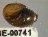  (Physa jennessi - PPM063)  @13 [ ] Unspecified (default): All Rights Reserved  Unspecified Unspecified