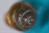  ( - PPM181)  @13 [ ] Unspecified (default): All Rights Reserved  Unspecified Unspecified