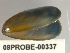  ( - PPM212)  @13 [ ] Unspecified (default): All Rights Reserved  Unspecified Unspecified