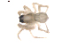  ( - BIOUG00615-E03)  @12 [ ] CC-0  G. Blagoev 2010 Unspecified