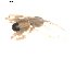  ( - BIOUG00615-E09)  @12 [ ] CC-0  G. Blagoev 2010 Unspecified