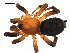  ( - BIOUG00616-H11)  @14 [ ] CC-0  G. Blagoev 2010 Unspecified