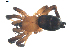  ( - BIOUG00617-A04)  @12 [ ] CC-0  G. Blagoev 2010 Unspecified