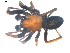  ( - BIOUG00617-F01)  @12 [ ] CC-0  G. Blagoev 2010 Unspecified