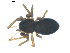  ( - BIOUG00617-F10)  @12 [ ] CC-0  G. Blagoev 2010 Unspecified