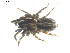  ( - BIOUG00617-H10)  @12 [ ] CC-0  G. Blagoev 2010 Unspecified