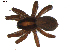  ( - BIOUG00618-C08)  @13 [ ] CC-0  G. Blagoev 2010 Unspecified