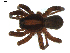  ( - BIOUG00618-C10)  @12 [ ] CC-0  G. Blagoev 2010 Unspecified