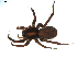  ( - BIOUG00618-C12)  @12 [ ] CC-0  G. Blagoev 2010 Unspecified