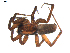  ( - BIOUG00618-E03)  @12 [ ] CC-0  G. Blagoev 2010 Unspecified