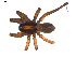  ( - BIOUG00618-E04)  @13 [ ] CC-0  G. Blagoev 2010 Unspecified