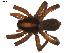  ( - BIOUG00618-G03)  @13 [ ] CC-0  G. Blagoev 2010 Unspecified