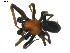  ( - BIOUG00618-G11)  @12 [ ] CC-0  G. Blagoev 2010 Unspecified