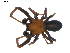  ( - BIOUG00619-B11)  @12 [ ] CC-0  G. Blagoev 2010 Unspecified