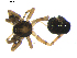  ( - BIOUG00619-D02)  @12 [ ] CC-0  G. Blagoev 2010 Unspecified