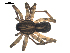  ( - BIOUG00619-E07)  @12 [ ] CC-0  G. Blagoev 2010 Unspecified