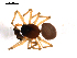  ( - BIOUG00621-E11)  @13 [ ] CC-0  G. Blagoev 2010 Unspecified