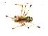  ( - BIOUG00624-E11)  @12 [ ] CC-0  G. Blagoev 2010 Unspecified