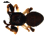  ( - BIOUG00625-A04)  @12 [ ] CC-0  G. Blagoev 2010 Unspecified