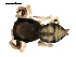  ( - BIOUG00625-B05)  @12 [ ] CC-0  G. Blagoev 2010 Unspecified