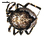  ( - BIOUG00625-E03)  @12 [ ] CC-0  G. Blagoev 2010 Unspecified