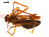  ( - BIOUG00625-H10)  @12 [ ] CC-0  G. Blagoev 2010 Unspecified