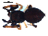  ( - BIOUG00626-A05)  @12 [ ] CC-0  G. Blagoev 2010 Unspecified