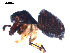  ( - BIOUG00626-A06)  @12 [ ] CC-0  G. Blagoev 2010 Unspecified