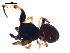  ( - BIOUG00626-A07)  @12 [ ] CC-0  G. Blagoev 2010 Unspecified
