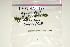  ( - Macrophyte-09)  @11 [ ] CreativeCommons - Attribution (2012) CBG Photography Group Centre for Biodiversity Genomics