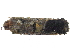  ( - BIOUG25381-F04)  @12 [ ] CreativeCommons - Attribution (2015) CBG Photography Group Centre for Biodiversity Genomics
