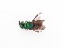  ( - PRC_00178)  @11 [ ] nrr (2022) Unspecified Paolo Rosa