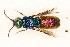  ( - PRC_00327)  @11 [ ] CreativeCommons  Attribution Non-Commercial Share-Alike (2024) Paolo Rosa University of Mons