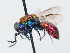  ( - PRC_00694)  @11 [ ] CreativeCommons  Attribution Non-Commercial Share-Alike (2024) Paolo Rosa University of Mons
