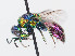  ( - PRC_00735)  @11 [ ] CreativeCommons  Attribution Non-Commercial Share-Alike (2024) Paolo Rosa University of Mons