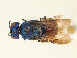  ( - PRC_01088)  @11 [ ] CreativeCommons  Attribution Non-Commercial Share-Alike (2024) Paolo Rosa University of Mons
