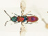  ( - PRC_01093)  @11 [ ] CreativeCommons  Attribution Non-Commercial Share-Alike (2024) Paolo Rosa University of Mons