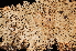  ( - LPRC7267)  @11 [ ] CreativeCommons - Attribution Share-Alike (2023) Remy Poncet Office Francais de la Biodiversite