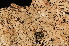  ( - LPRC7267)  @11 [ ] CreativeCommons - Attribution Share-Alike (2023) Remy Poncet Office Francais de la Biodiversite
