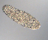  ( - palaeo_16)  @11 [ ] Unspecified (default): All Rights Reserved (2024) George von Dassow Oregon Institute of Marine Biology