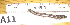  ( - AAGxAAC05058-A11)  @13 [ ] Copyright (2013) J. A. Santiago-Blay NMNH
