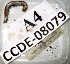  ( - AACH-08079-A04)  @13 [ ] Copyright (2013) J. A. Santiago-Blay NMNH