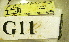  ( - AM08357-G11)  @11 [ ] Copyright (2013) J. A. Santiago-Blay NMNH