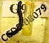  ( - AAYxmaybe-08079-G09)  @13 [ ] Copyright (2013) J. A. Santiago-Blay NMNH
