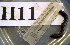  ( - AAC-09122-G23)  @13 [ ] Copyright (2013) J. A. Santiago-Blay NMNH