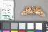  ( - A045a)  @11 [ ] nrr (2021) Catherine Hulshof VSU