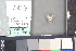  ( - A218c)  @11 [ ] nrr (2021) Catherine Hulshof VSU